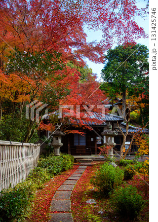 紅葉に彩られた来迎院 紅葉に彩られた来迎院 131425746