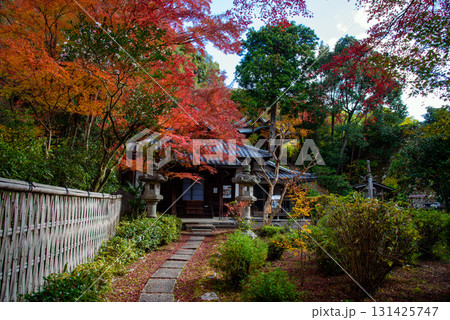 紅葉に彩られた来迎院 紅葉に彩られた来迎院 131425747