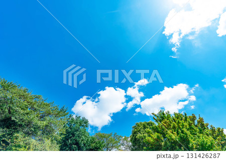 青空と雲と木立 131426287