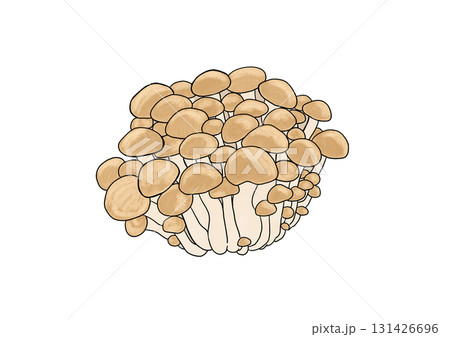 ぶなしめじ 131426696
