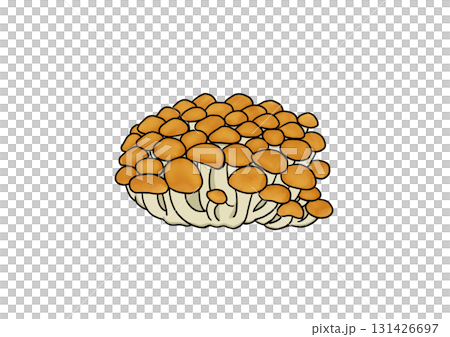 Nameko Nameko 131426697