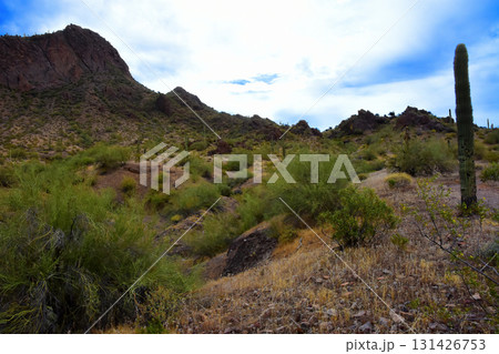 Sonoran Desert Arizona Picacho Peak State Park 131426753