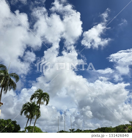 南国の台風近いときの雲とやし 南国の台風近いときの雲とやし 131426840