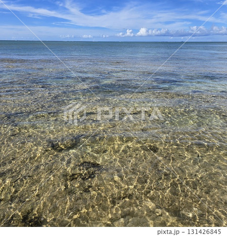 浅瀬のきれいな海 131426845