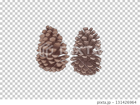 松ぼっくり 松ぼっくり 131426964