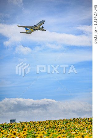 北海道・女満別空港の夏景色と飛行機 北海道・女満別空港の夏景色と飛行機 131427048