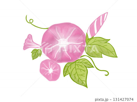 朝顔　水彩画風 131427074