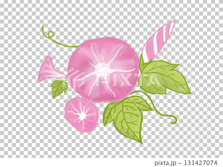 朝顔　水彩画風 131427074