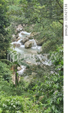 This vibrant close-up nature scene captures foaming whitewater cascading over dark, smooth boulders into a serene pool of light green water, framed by rocky cliffs and lush hanging vegetation above a  131427138