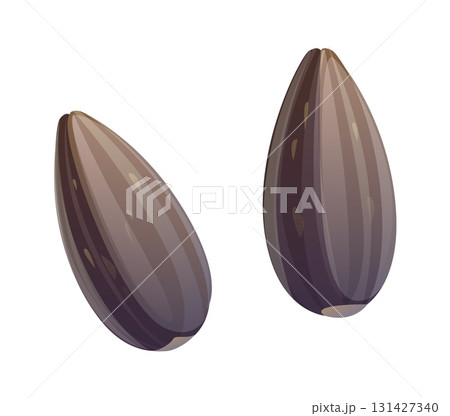 Cartoon raw ripe two sunflower seeds in shell. Isolated vector roasted or raw elongated nuts with hard striped outer husk, natural texture and tapered shape. Healthy snack, rich in fat, fiber, protein Cartoon raw ripe two sunflower seeds in shell. Isolated vector roasted or raw elongated nuts with hard striped outer husk, natural texture and tapered shape. Healthy snack, rich in fat, fiber, protein 131427340
