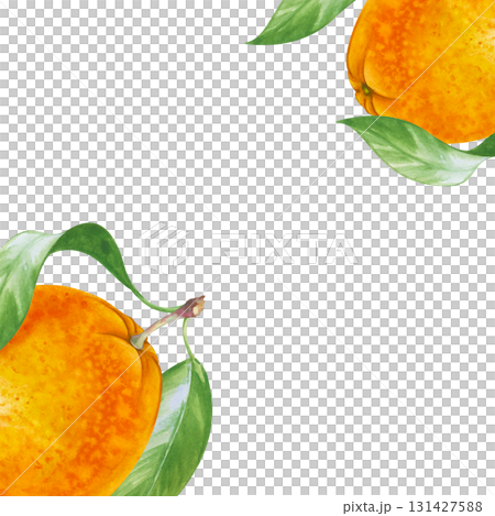 A square frame made in watercolor, with juicy fruits painted by hand. Whole juicy oranges and beautiful green leaves. A botanical template with seasonal fruits with an empty place to insert. 131427588
