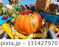 A huge yellow pumpkin at the autumn fair as a symbol of a rich harvest. 131427970