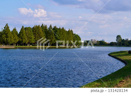 緑の木立と遠景のビル群が見える都市公園の湖畔風景 緑の木立と遠景のビル群が見える都市公園の湖畔風景 131428134