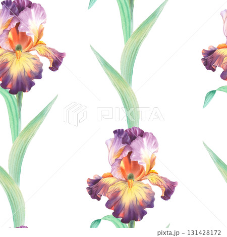 Seamless pattern of irises. Watercolor handmade illustration. For packaging design, cards, cover, prints, product labels and fabric. Seamless pattern of irises. Watercolor handmade illustration. For packaging design, cards, cover, prints, product labels and fabric. 131428172