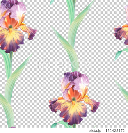 Seamless pattern of irises. Watercolor handmade illustration. For packaging design, cards, cover, prints, product labels and fabric. Seamless pattern of irises. Watercolor handmade illustration. For packaging design, cards, cover, prints, product labels and fabric. 131428172