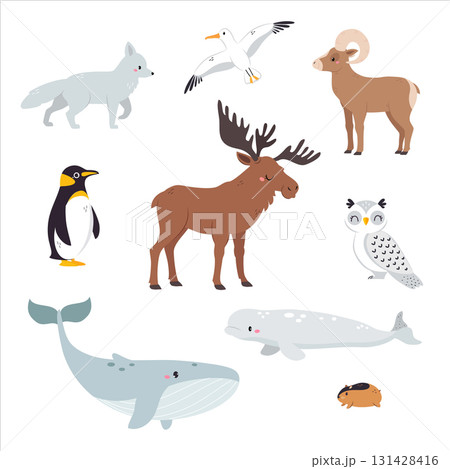 Northern Animal and Zoo Creature from Cold North Vector Set Northern Animal and Zoo Creature from Cold North Vector Set 131428416