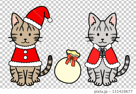 Christmas costume cat 131428677