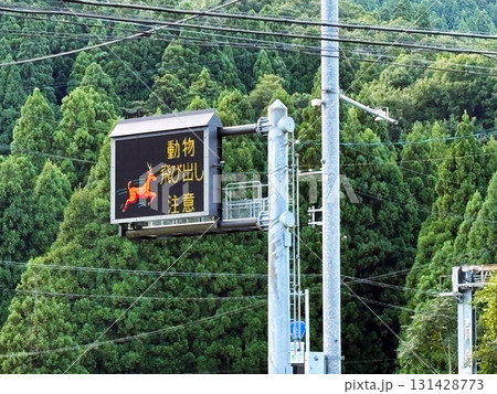 動物飛び出し注意看板のある風景 131428773