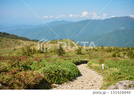鉢伏山の登山道 131428840