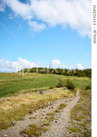 鉢伏山の登山道 鉢伏山の登山道 131428842