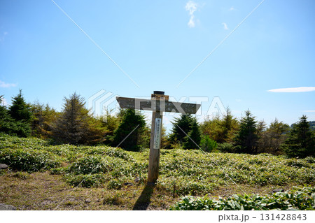 鉢伏山の登山道 131428843
