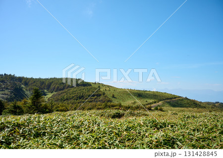 鉢伏山の登山道から見える景色 131428845