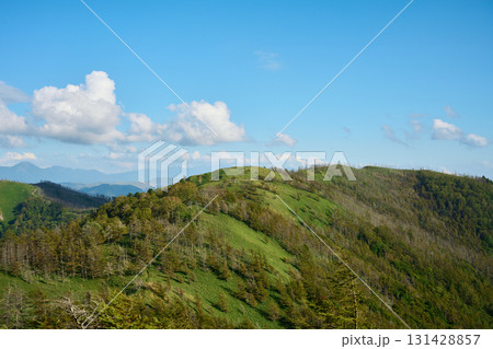 鉢伏山の登山道から見える景色 131428857