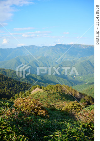 鉢伏山の登山道からみえる景色 鉢伏山の登山道からみえる景色 131428859
