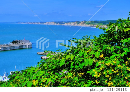 北海道初山別村　みさき台公園から望む風景 131429118