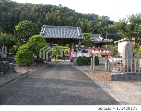 埼玉県寄居、善導寺のお寺 131429175