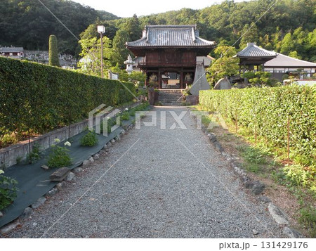 埼玉県寄居、正龍寺のお寺 埼玉県寄居、正龍寺のお寺 131429176