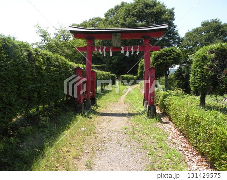 埼玉県寄居、鉢形城跡の城山稲荷神社入口の赤い鳥居 埼玉県寄居、鉢形城跡の城山稲荷神社入口の赤い鳥居 131429575