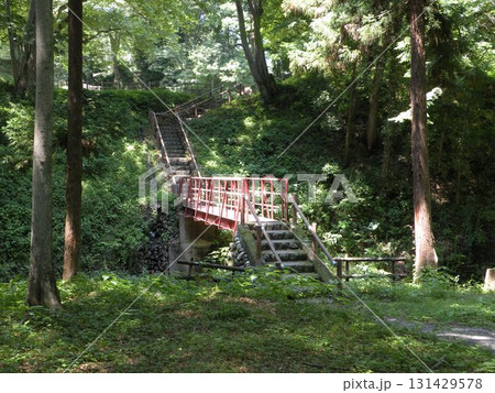 埼玉県寄居、鉢形城跡内の橋と木々の景色 埼玉県寄居、鉢形城跡内の橋と木々の景色 131429578