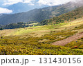 Expansive green hillside landscape with grazing cattle, rolling mountains in the background, and a serene atmosphere showcasing the beauty of nature and agricultural life 131430156