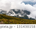Scenic view of green hillside with colorful foliage of Caucasian rhododendron or Georgian snow rose in fall and misty clouds, beauty of nature and peaceful ambiance of the mountainous terrain 131430158