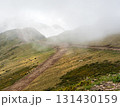 Misty mountain landscape with winding dirt path, lush green hills, and grazing cattle, creating a serene and tranquil atmosphere in nature's untouched beauty 131430159