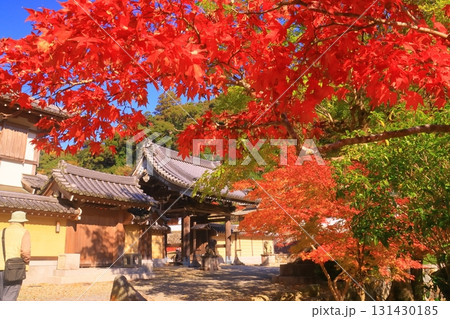 明治の森箕面国定公園(大阪府箕面市)の紅葉<観音堂> 明治の森箕面国定公園(大阪府箕面市)の紅葉<観音堂> 131430185