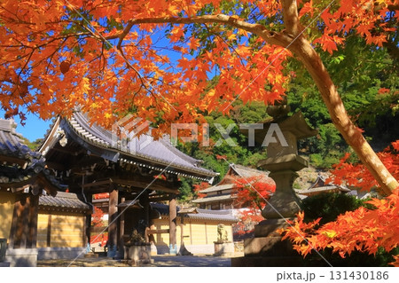明治の森箕面国定公園（大阪府箕面市）の紅葉＜観音堂＞ 131430186