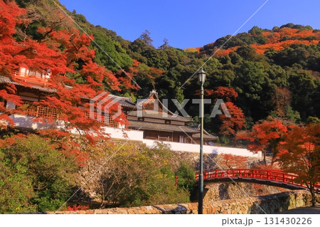 明治の森箕面国定公園(大阪府箕面市)の紅葉<瑞雲閣 客殿> 明治の森箕面国定公園(大阪府箕面市)の紅葉<瑞雲閣 客殿> 131430226