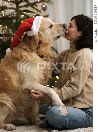Woman playing With A Golden Retriever Dog At Christmas Time At Home Woman playing With A Golden Retriever Dog At Christmas Time At Home 131430437