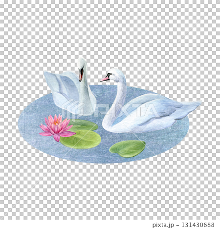 Watercolor composition of white swans, pond and lotus with water lily leaves. Good for postcards, invitations, greeting cards 131430688