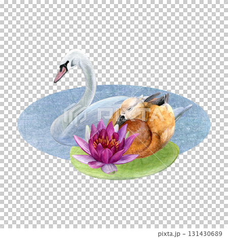 Watercolor composition of brown duck, white swan, pond and lotus with water lily leaf. Good for postcards, invitations, greeting cards 131430689