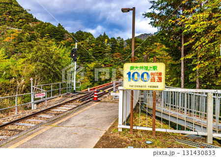 静岡県　奥大井湖上駅・秋景色 131430833