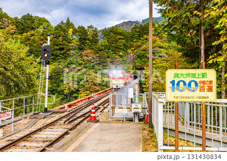 静岡県　奥大井湖上駅・秋景色 131430834