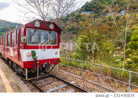 静岡県　奥大井湖上駅・秋景色 131430835