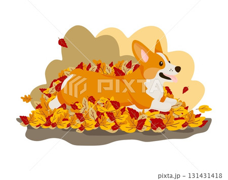 Happy Corgi Dog Playing in Autumn Leaves 131431418