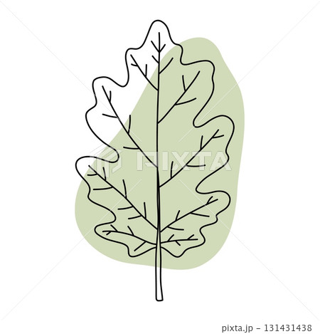 Green Oak Leaf Minimal Line Art Design Green Oak Leaf Minimal Line Art Design 131431438