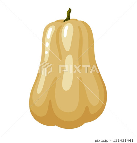 Butternut Squash Hand Drawn Doodle Illustration 131431441