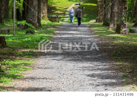 台湾 レジャーアクティビティ 余暇活動 131431496