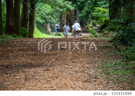 台湾 レジャーアクティビティ 余暇活動 131431499